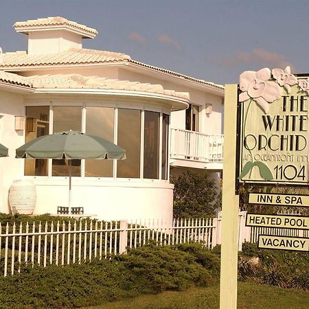 The White Orchid Inn And Spa Flagler Beach Eksteriør billede